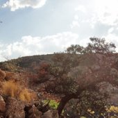 The Reason We've Never Been to South Africa Before