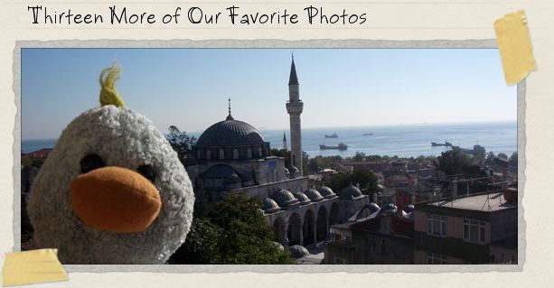 Thirteen More of Our Favorite Photos Thirteen More of Our Favorite Photos