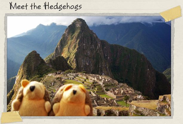 Meet the Hedgehogs Meet the Hedgehogs