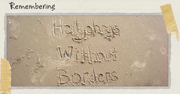 Remembering Remembering