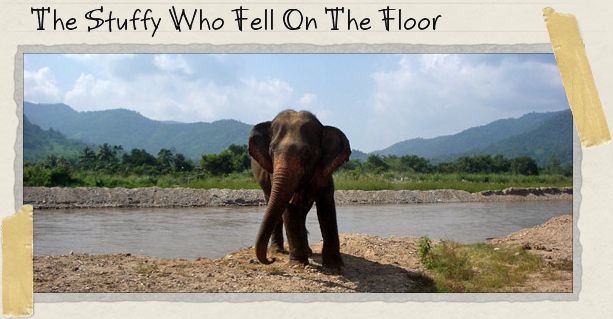 The Stuffy Who Fell On The Floor